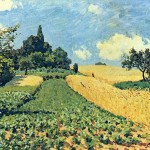 Grain fields on the hills of Argenteuil