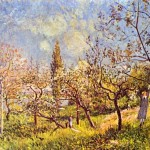 Orchard in Spring