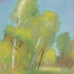 birch forest in spring birch forest in spring