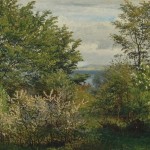 Summer Landscape Summer Landscape