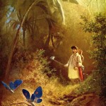 the butterfly hunter the butterfly hunter