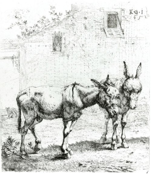 etching by Karel Dujardin