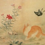 cat and butterfly cat and butterfly
